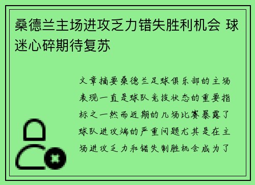 桑德兰主场进攻乏力错失胜利机会 球迷心碎期待复苏