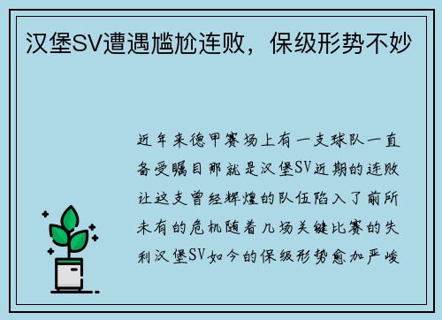 汉堡SV遭遇尴尬连败，保级形势不妙