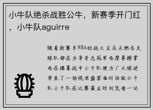 小牛队绝杀战胜公牛，新赛季开门红，小牛队aguirre