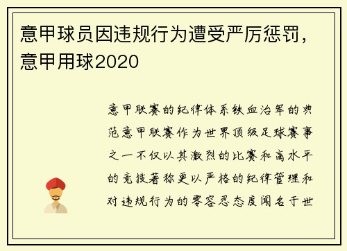 意甲球员因违规行为遭受严厉惩罚，意甲用球2020